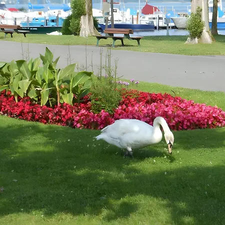 Gaestehaus Lamprecht * 울딘겐물호펜